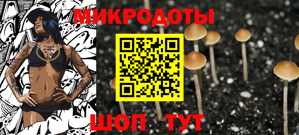 Галлюциногенные грибы MAGIC MUSHROOMS Курчалой